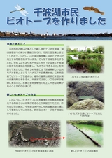 千波湖市民ビオトープを作りました