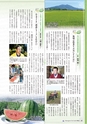 桜川市勢要覧2014