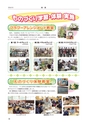 尚技 46号