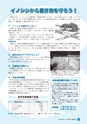 広報しろさと 2014年8月号 No.115
