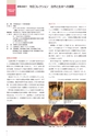 茨城県近代美術館／美術館だより No.99