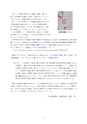 歴史館だより No.109