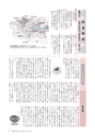 広報もりや おしらせ版 2014年10月25日号