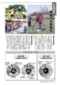 広報かしま 2014年11月1日号 No.482