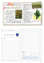 茨城県広報紙 ひばり 2015年1月号