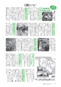 広報もりや 2015年3月10日号 No.609