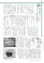広報いしおか 2015年4月1日号 No.228