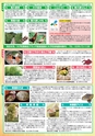 グリーンふるさと No.84