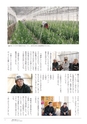鹿嶋市議会だより「とびら」№80