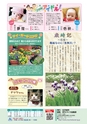 広報きたいばらき 2015年6月号 No.709