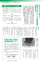 広報つくばみらい 2015年6月号 No.110