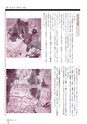 広報なか 2015年6月号 No.125