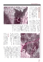 広報なか 2015年6月号 No.125