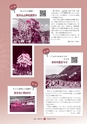 広報 常陸大宮 2015年6月号 No.129
