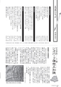 広報かすみがうら 2015年7月号 No.124