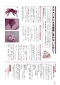 広報なか 2015年7月号 No.126