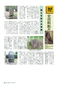 広報さくらがわ 2015年8月1日号 No.237