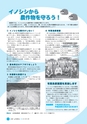 広報しろさと 2015年8月号 No.127