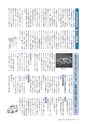 広報もりや おしらせ版 2015年8月25日号