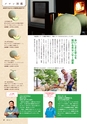 鉾田市市制施行10周年 記念市勢要覧