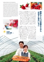 鉾田市市制施行10周年 記念市勢要覧