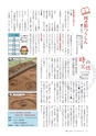 広報いしおか 2015年11月1日号 No.242