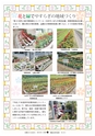 広報ひたちおおた 2015年11月号 No.648