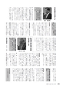 広報やちよ 2015年11月号 No.673