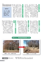 広報 結城 2015年12月号 No.651