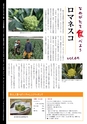 市報なめがた 2015年12月号 No.124