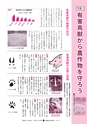 広報ひたちおおた 2015年12月号 No.649