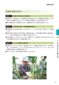 東海村　第5次総合計画　後期基本計画
