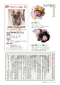 広報おおあらい 2016年3月号 Vol.531