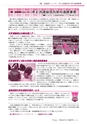 広報龍ケ崎りゅうほー 2016年3月後半号 No.742