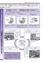 広報もりや 2016年2月10日号 No.620