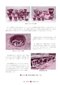 広報 常陸大宮 2017年1月号 No.148