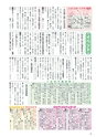 広報筑西People 2017年4月1日号 No.181