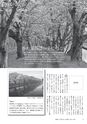 広報つくばみらい 2017年4月号 No.132