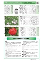 広報もりや 2017年5月10日号 No.635