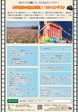 広報おみたま 2018年8月号 No.149