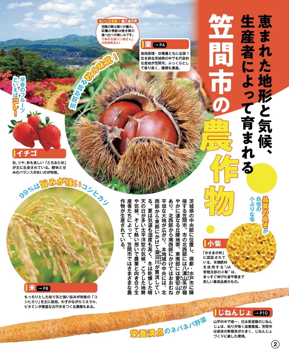 るるぶ特別編集 おいしい笠間