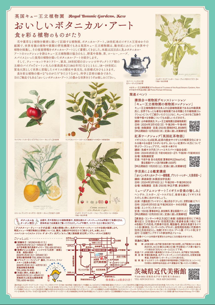 Amazon.com: CHDITB Chinoiserie Audubon Birds Wall Art(Set of