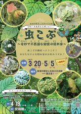 令和7年春季まる博マルシェ「虫こぶ」