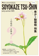 そよかぜ通信 2025年初夏号
