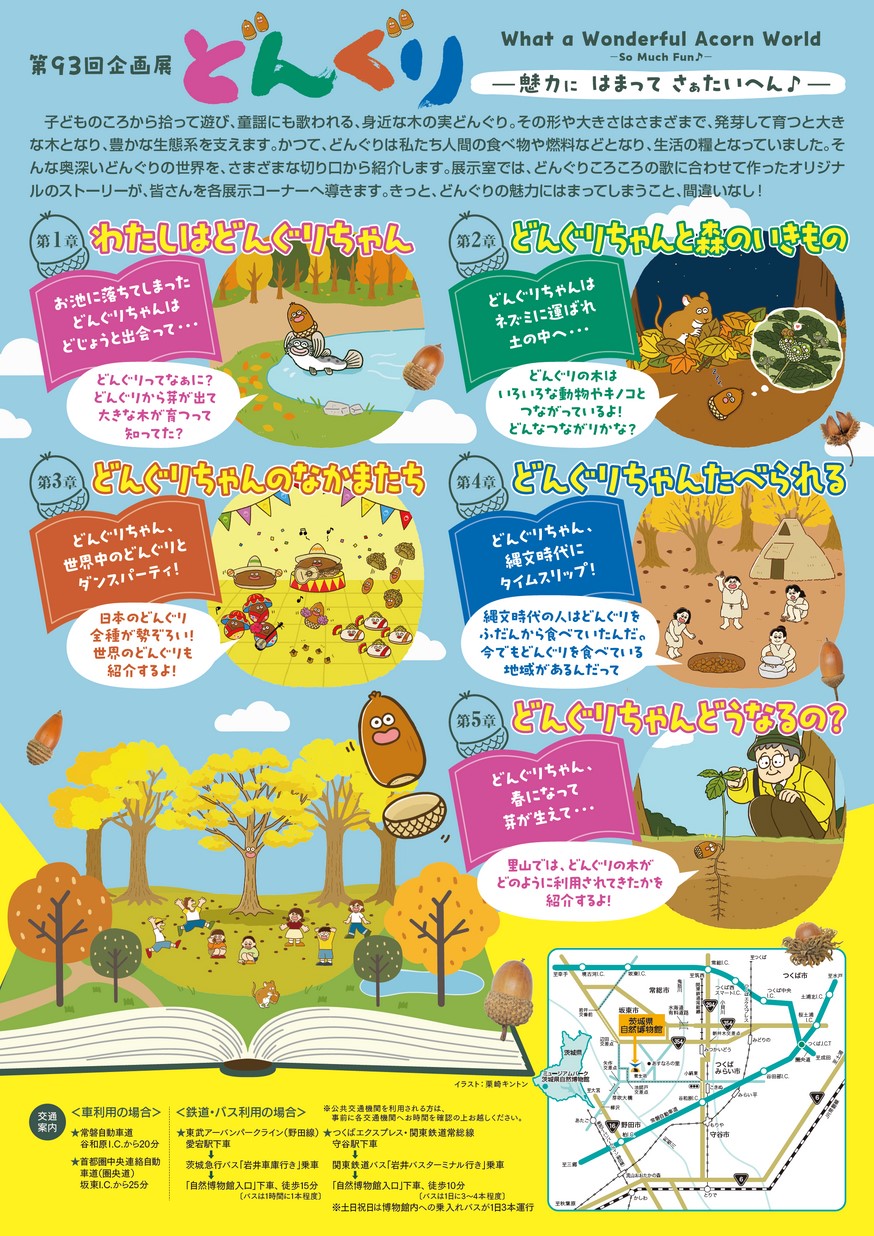 第93回企画展「どんぐり」