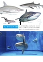 アクアワールド 「出会いの海」へようこそ