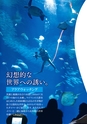 アクアワールド 「出会いの海」へようこそ