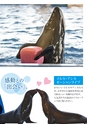 アクアワールド 「出会いの海」へようこそ