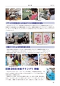 尚技 47号