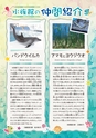 アクアワールド Sea遊　2016年7月 第30号